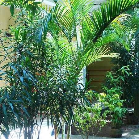 Three V Homestay Kuta  Esterno foto