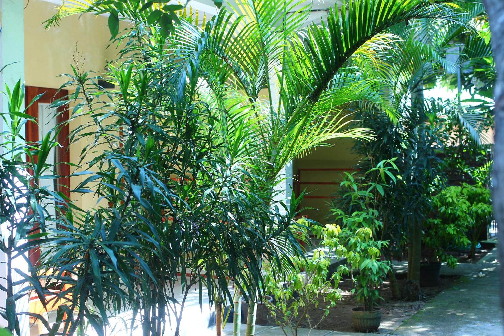 Three V Homestay Kuta  Esterno foto