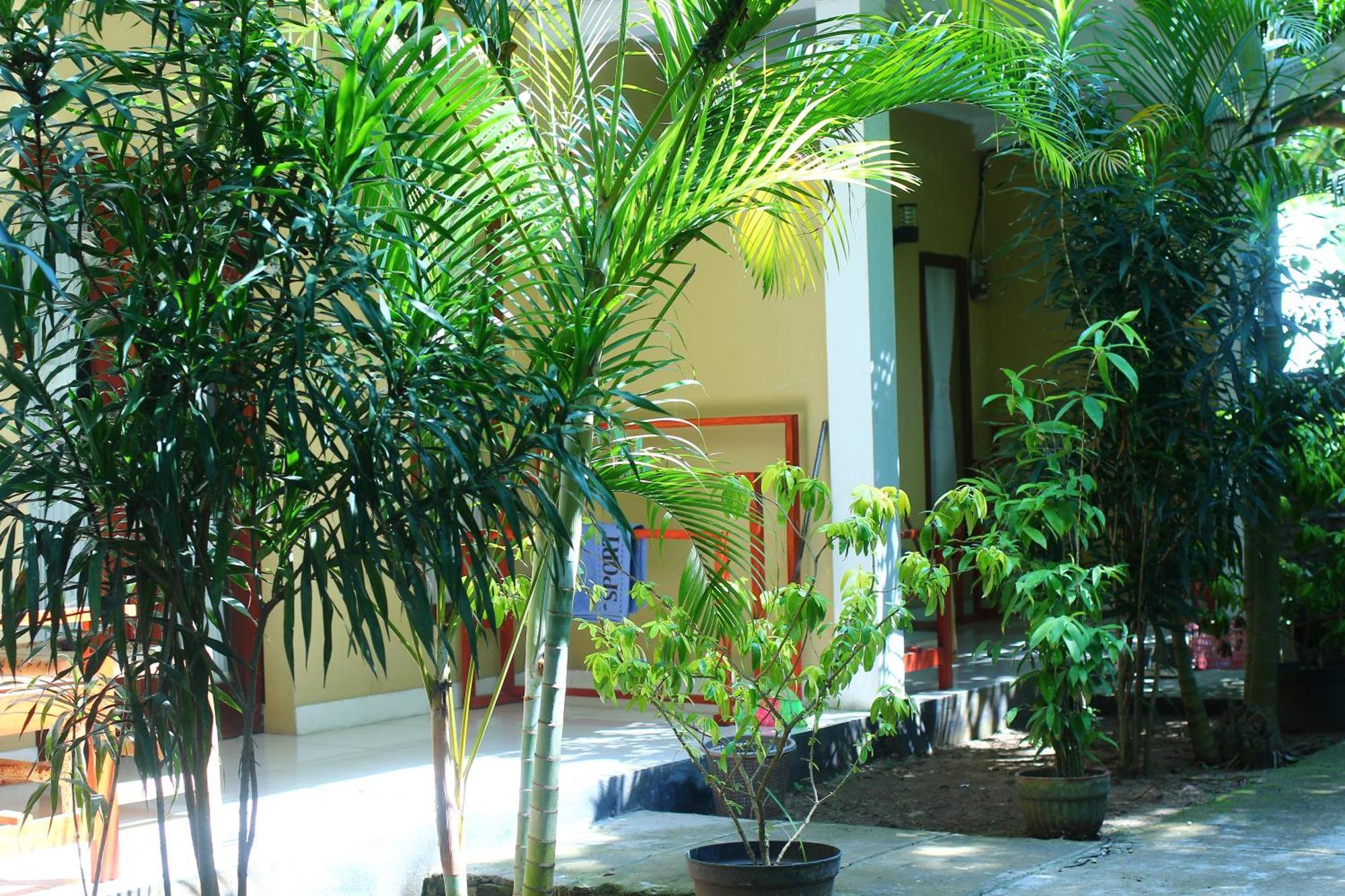 Three V Homestay Kuta  Esterno foto