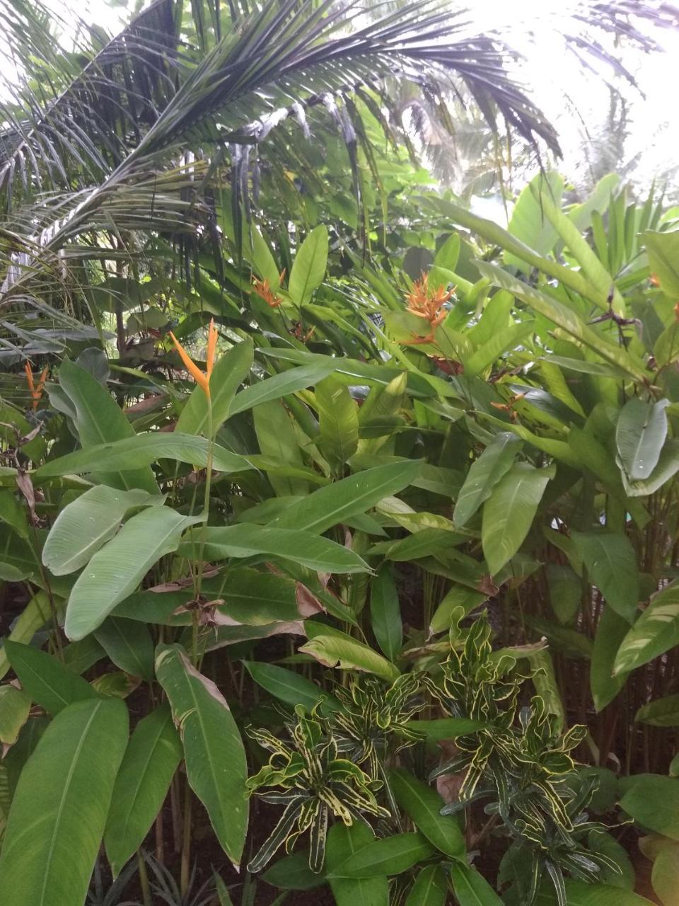 Three V Homestay Kuta  Esterno foto